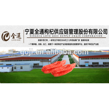 High quality goji berry(wolfberry) ---2016 gojiscm offer